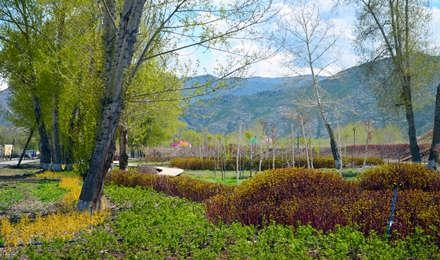 新疆·可可托海風景區(qū)俄式景觀工程